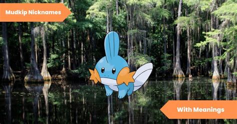 mudkip best nature|mudkip nicknames.